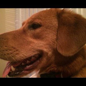 Meet your Posher, Alyanna